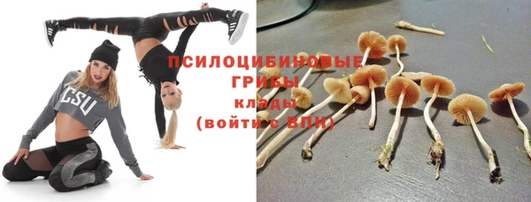 стафф Бронницы