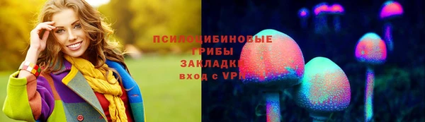 а пвп мука Бородино