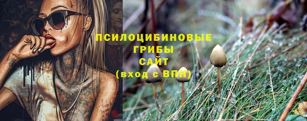 дмт Бугульма