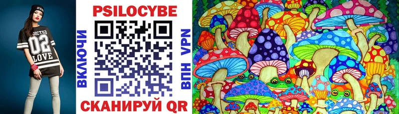 Галлюциногенные грибы Psilocybine cubensis где продают Дюртюли